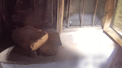 640.gif