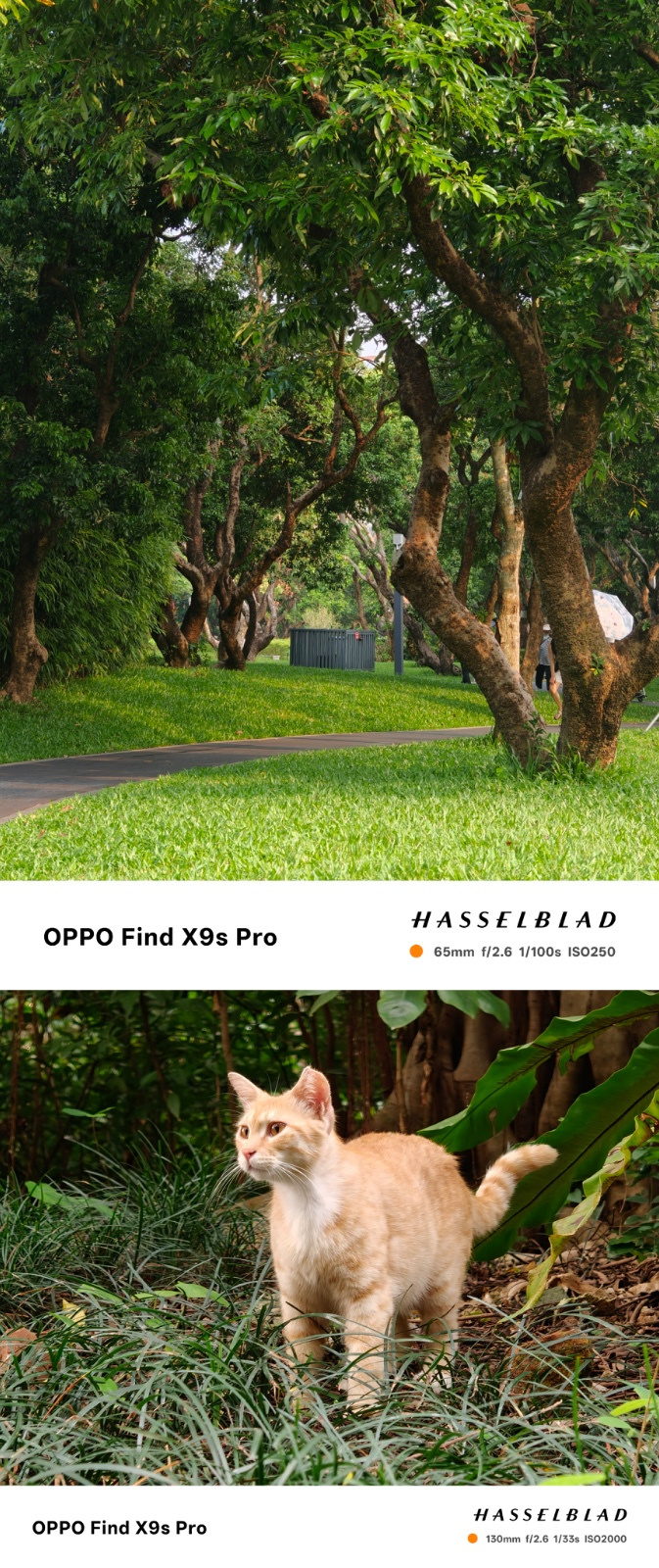 OPPO Find X9s Pro评测:双两亿口袋哈苏 旅拍神器