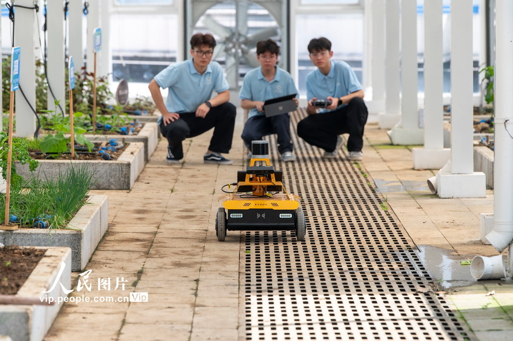 4月20日,浙江省金华职业技术大学信息工程学院智慧农业应用基地里,由校企联合开发的AI农业巡检机器人正在进行巡检中。胡肖飞摄(人民图片网)