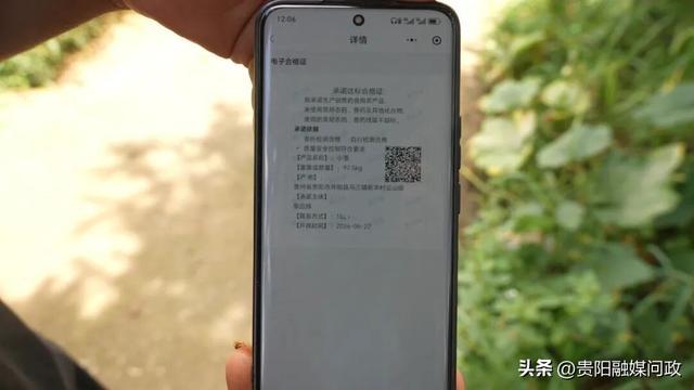 种植户开具的承诺达标合格证