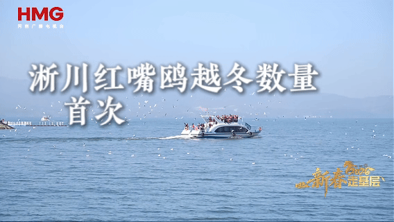 大象新闻（www.hntv.tv）记者跟着护鸟人老邓