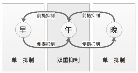 两种抑制丨图源网络
