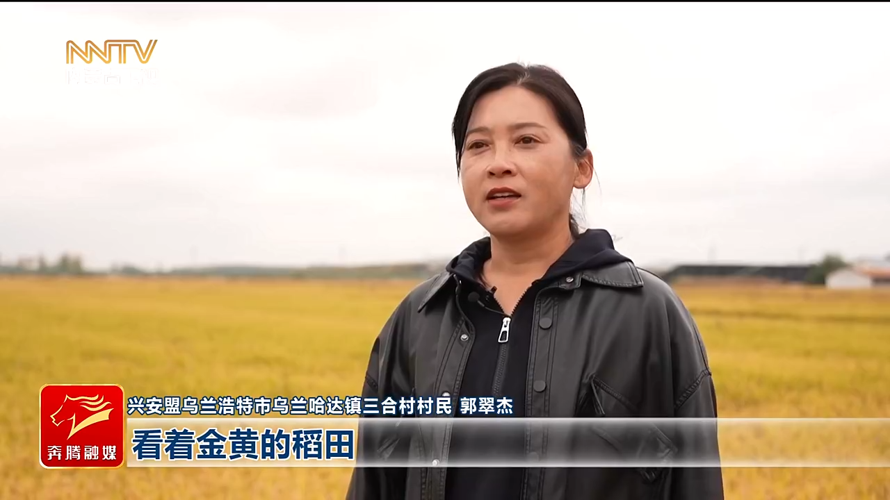视频截图
