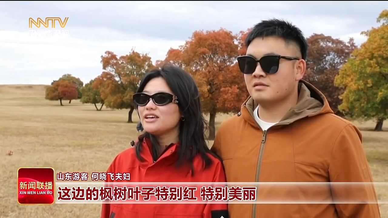 视频截图