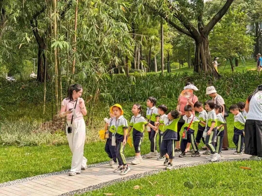 翠竹成荫处,童心识竹时|天河公园竹类园科普宣教活动.jpg