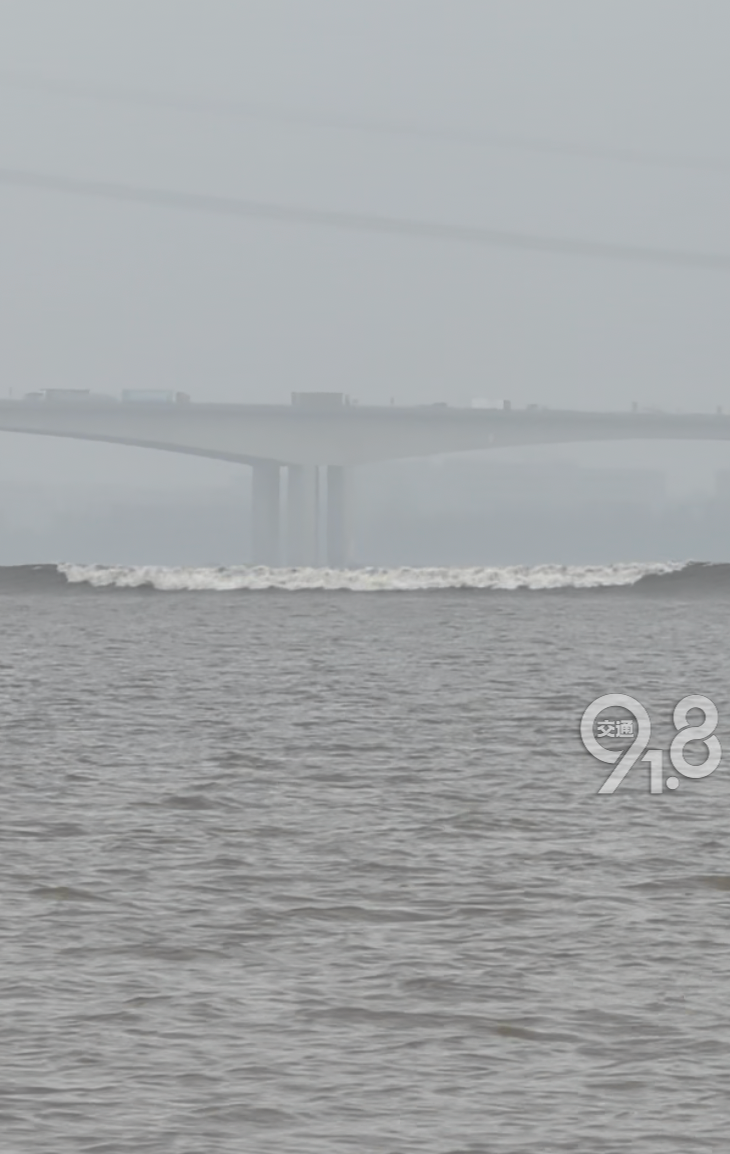 1b821405-56de-4848-b908-5be29a85cca3.png