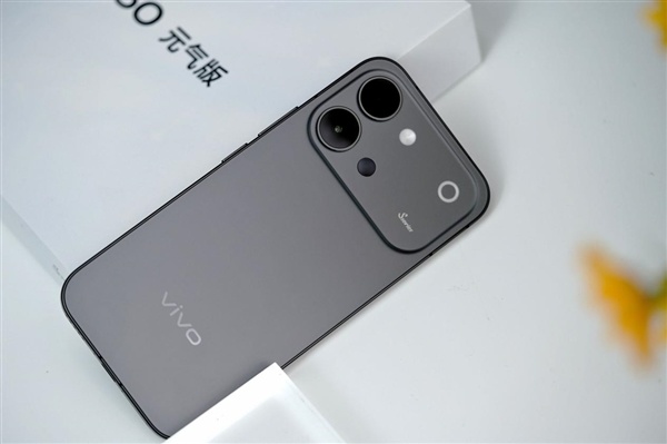 支持4K原生感Live!vivo S60元气版仲夏夜图赏