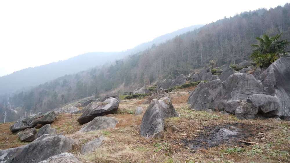 渔山村耕地上的石头。新华社发（龙炳洁 摄）