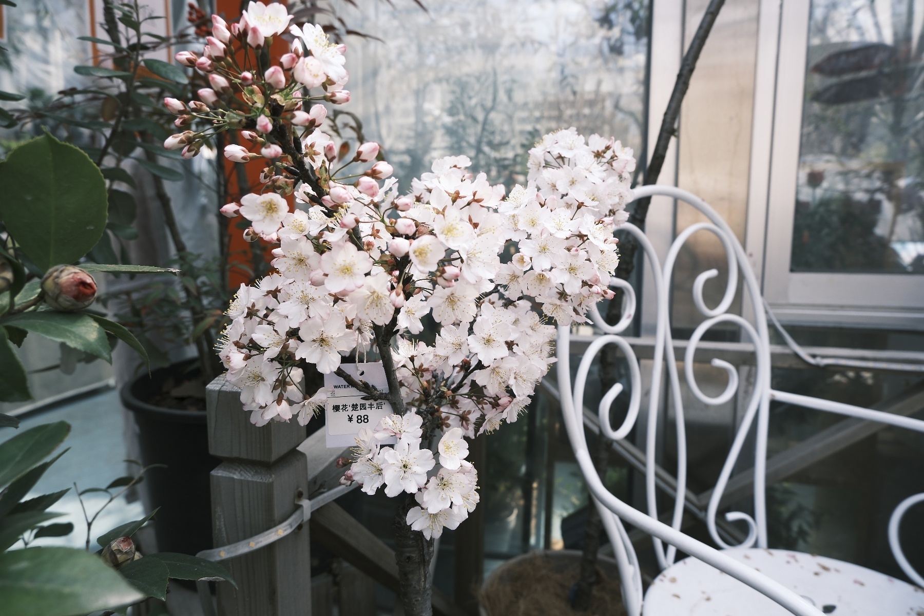 微信图片_20260316125919_1546_345