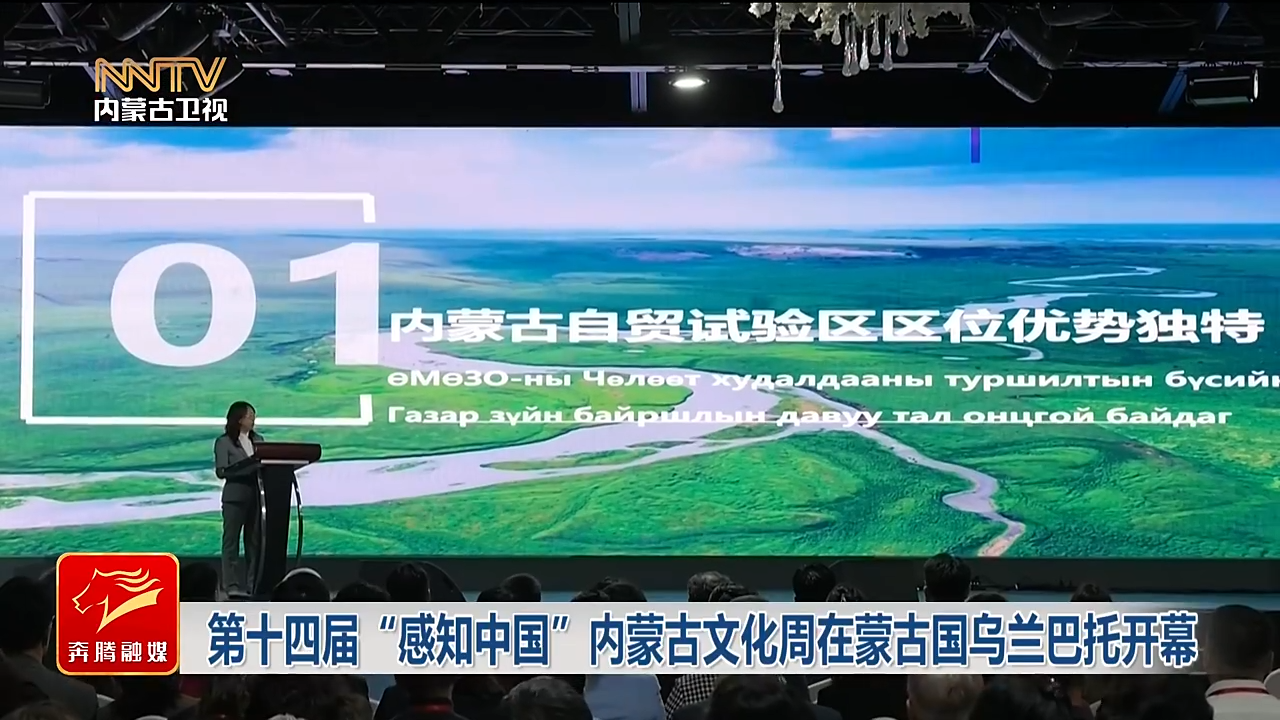 视频截图