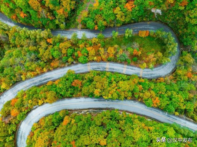 ▲ 留坝最美乡村公路沿线秋色。 祝育斌 摄