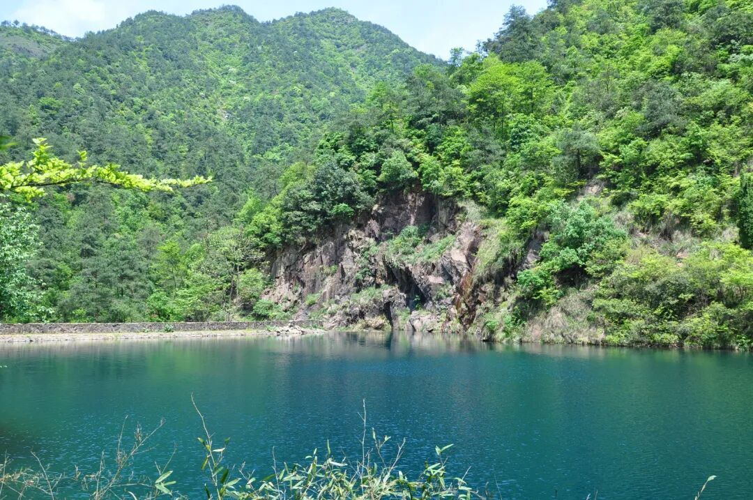 摄图网_501057239_桐庐大奇山国家森林公园_(企业商用).jpg