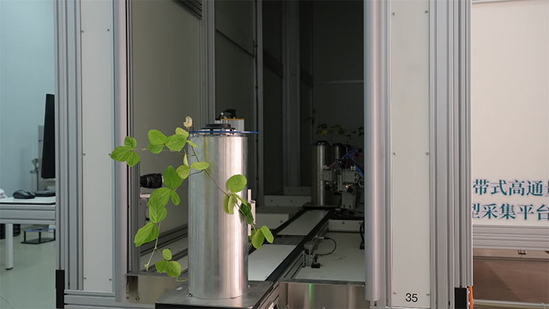 新春走基层｜这里的作物，正在做“CT”