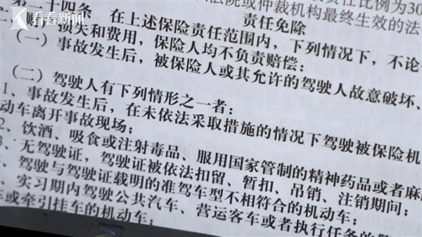 父亲驾车撞死人 全家串供让儿子顶包 五年后发小为减刑举报