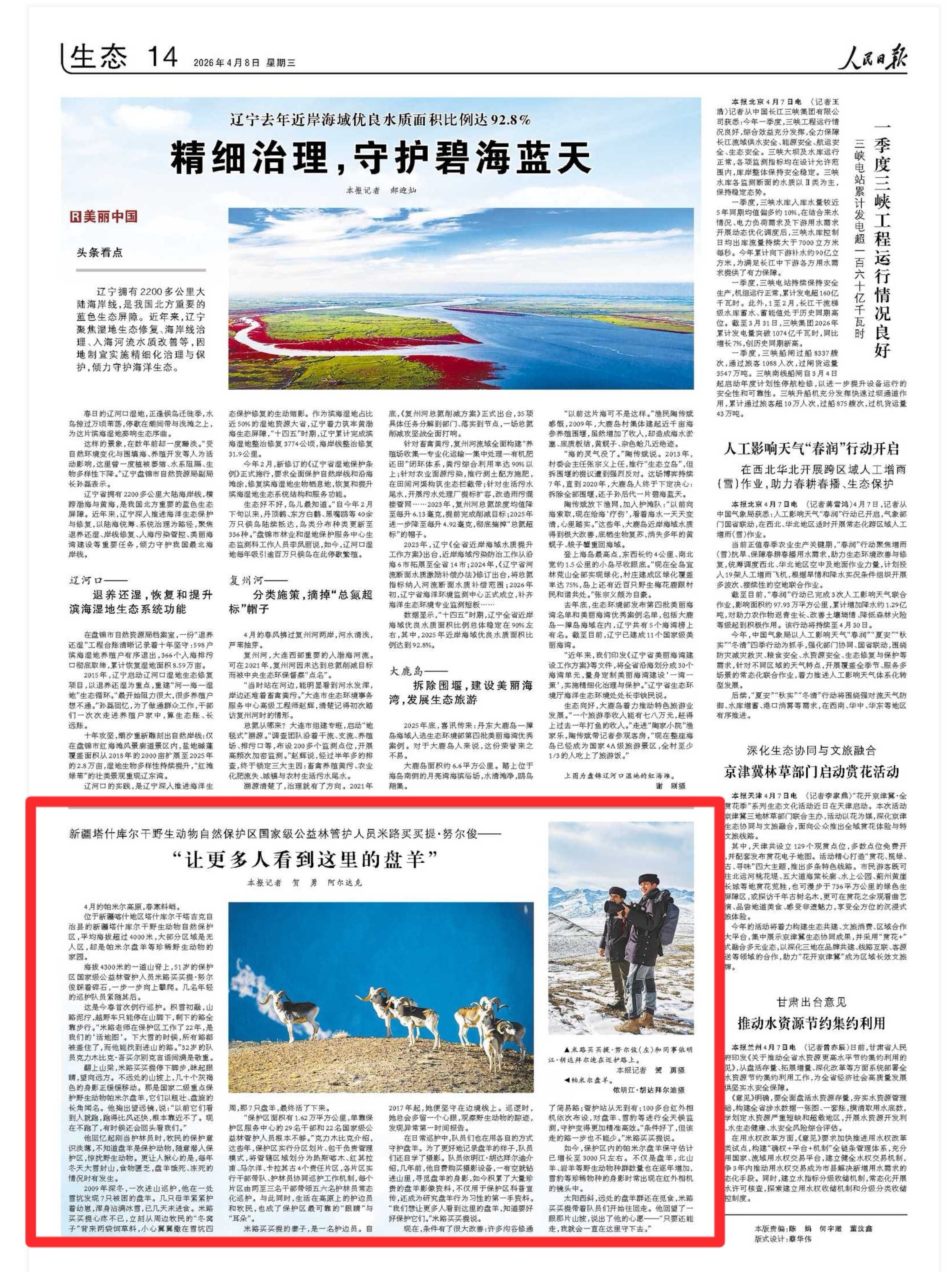 人民日报看新疆｜“让更多人看到这里的盘羊”