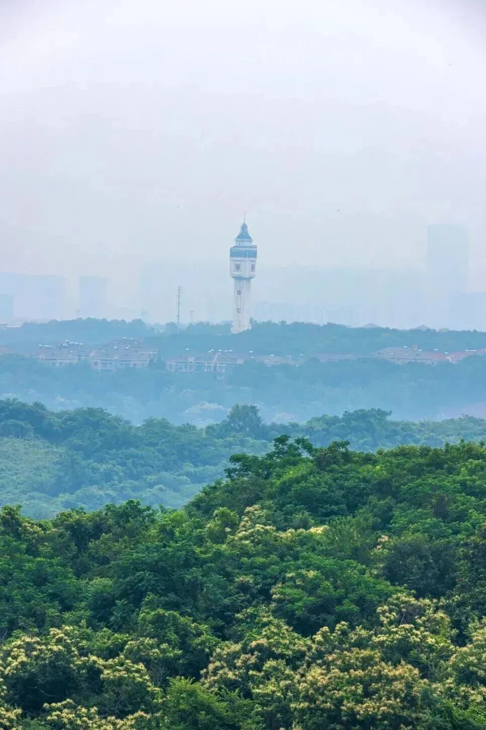 微信图片_2026-03-18_162957_556.jpg