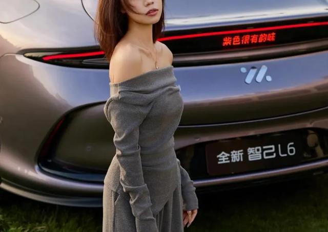 智己不知己,自己经销商突然暴雷,车主悲伤不能自已