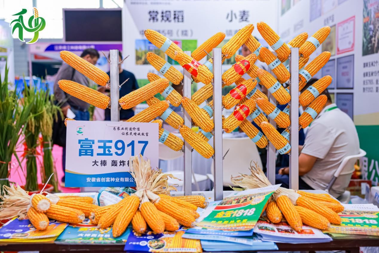 活动现场产品展区。主办方供图
