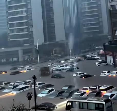 视频截图.jpg