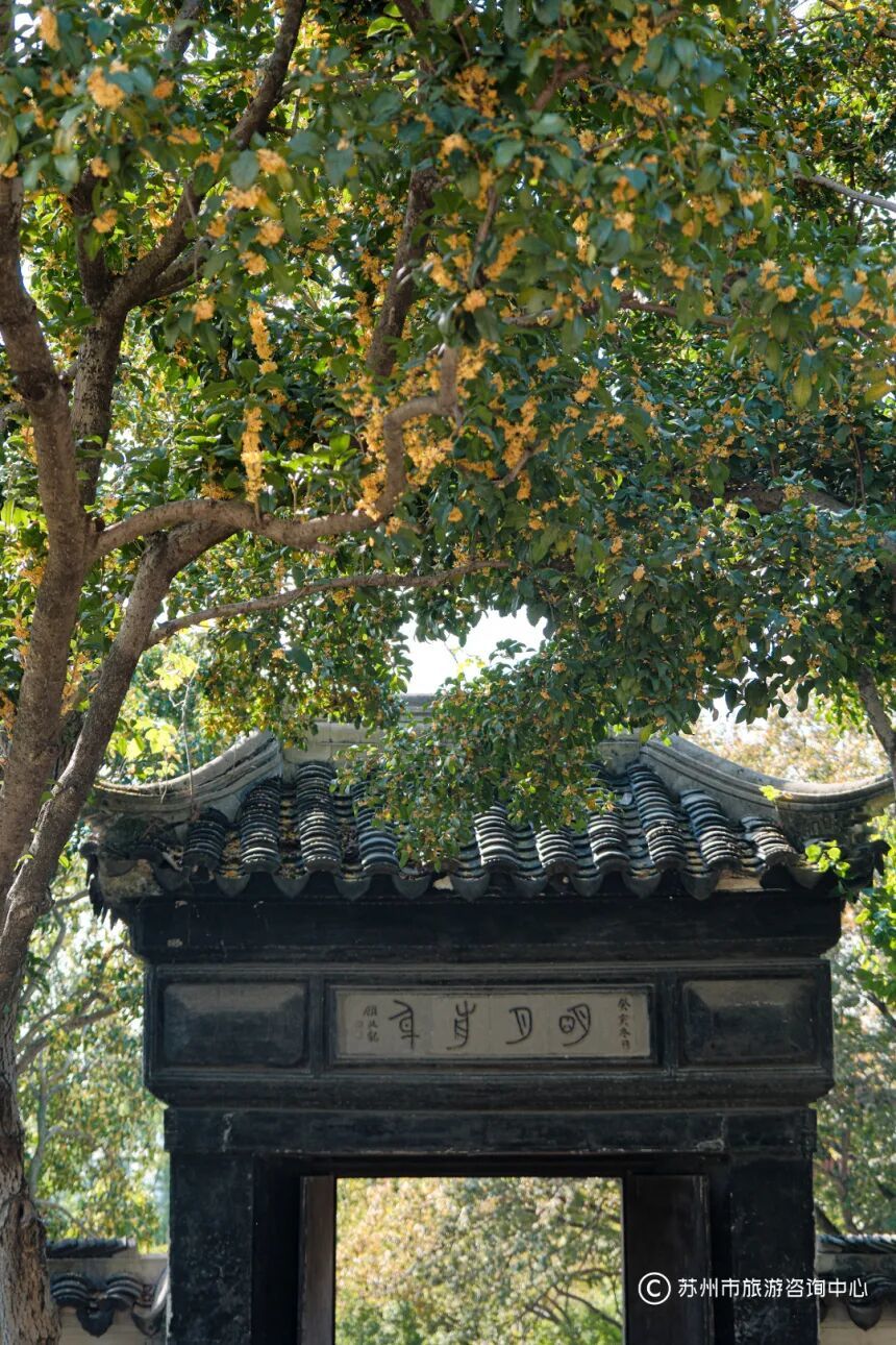 VX5E3877.jpg