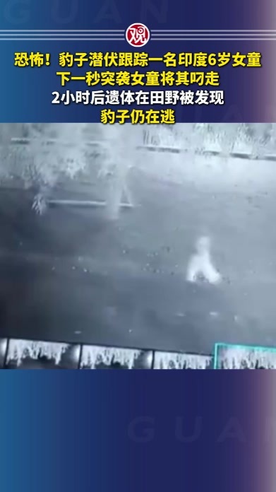 恐怖！豹子潜伏跟踪一名印度6岁女童，下一秒突袭女童将其叼走，2小时后遗体在田野被发现，豹子仍在逃