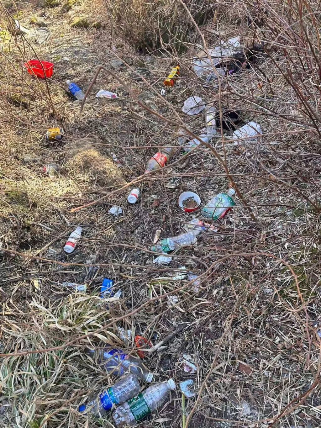 随地乱扔垃圾对局部生态环境造成影响