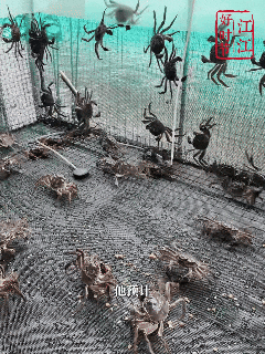 10月5日(2).gif