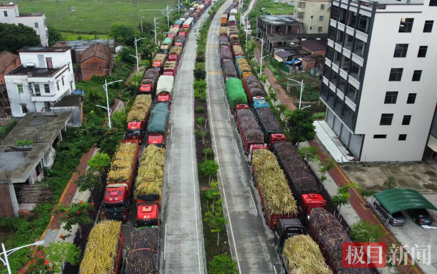 满载果蔗的货车.jpg