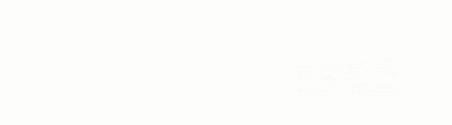 休闲年卡.gif