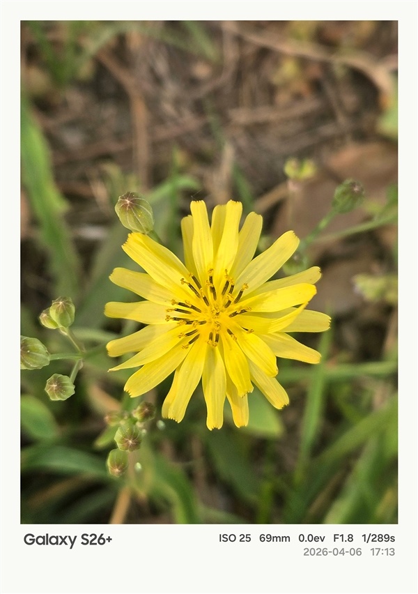 第五代骁龙8至尊版加持！三星Galaxy S26+手机体验评测：浮薄与性能兼得