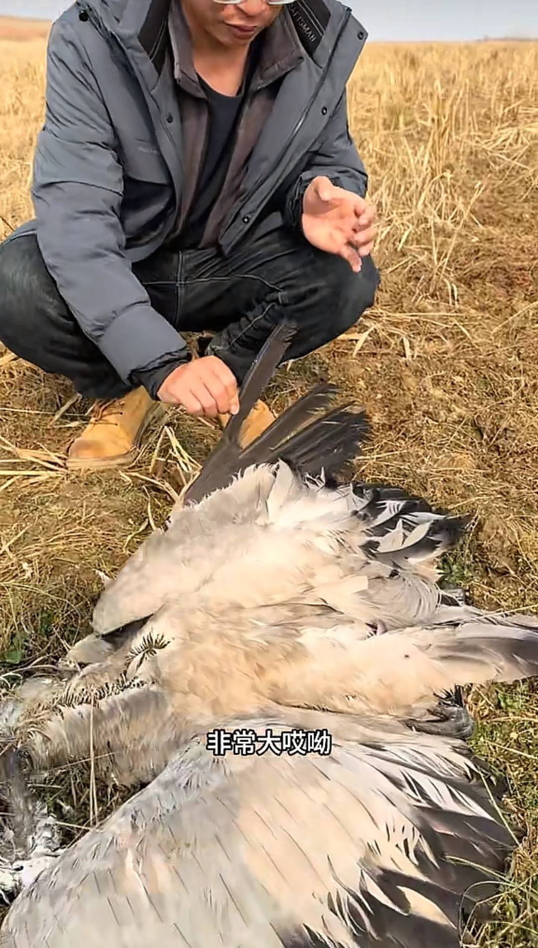 现场发现国家保护鸟类的尸体（网络截图）