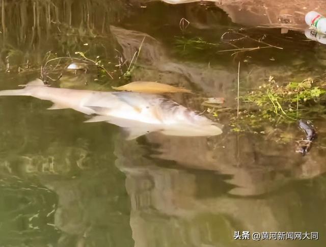 图源/当地钓友社交账号。