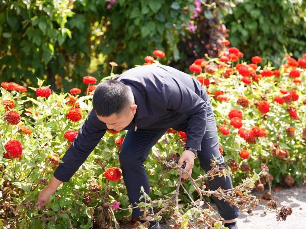 张亚峰看来,爱护村容村貌就是自己的家务事,举手之劳。德惠市委宣传部供图