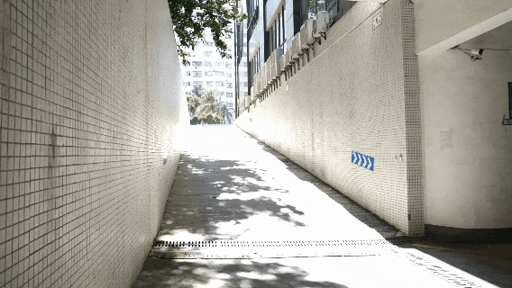 10月11日.gif
