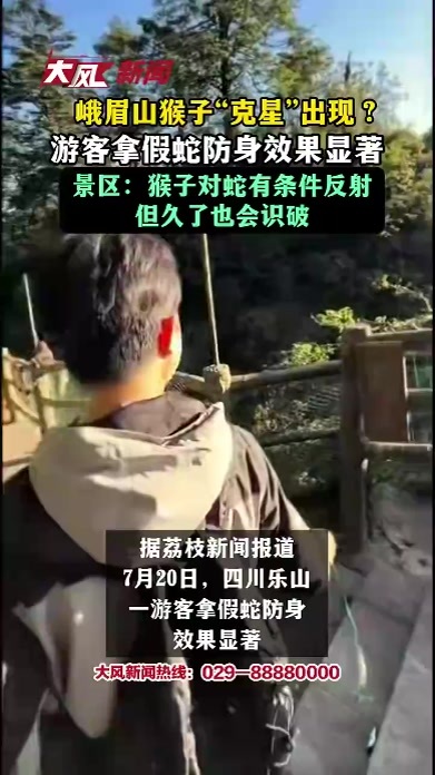 峨眉山猴子“克星”出现？游客拿假蛇防身效果显著，景区：猴子对蛇有条件反射，但久了也会识破
