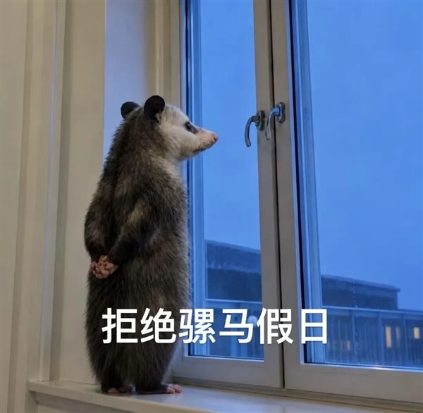 山姆可能也没想到 有一天会被年轻人拿去玩户外