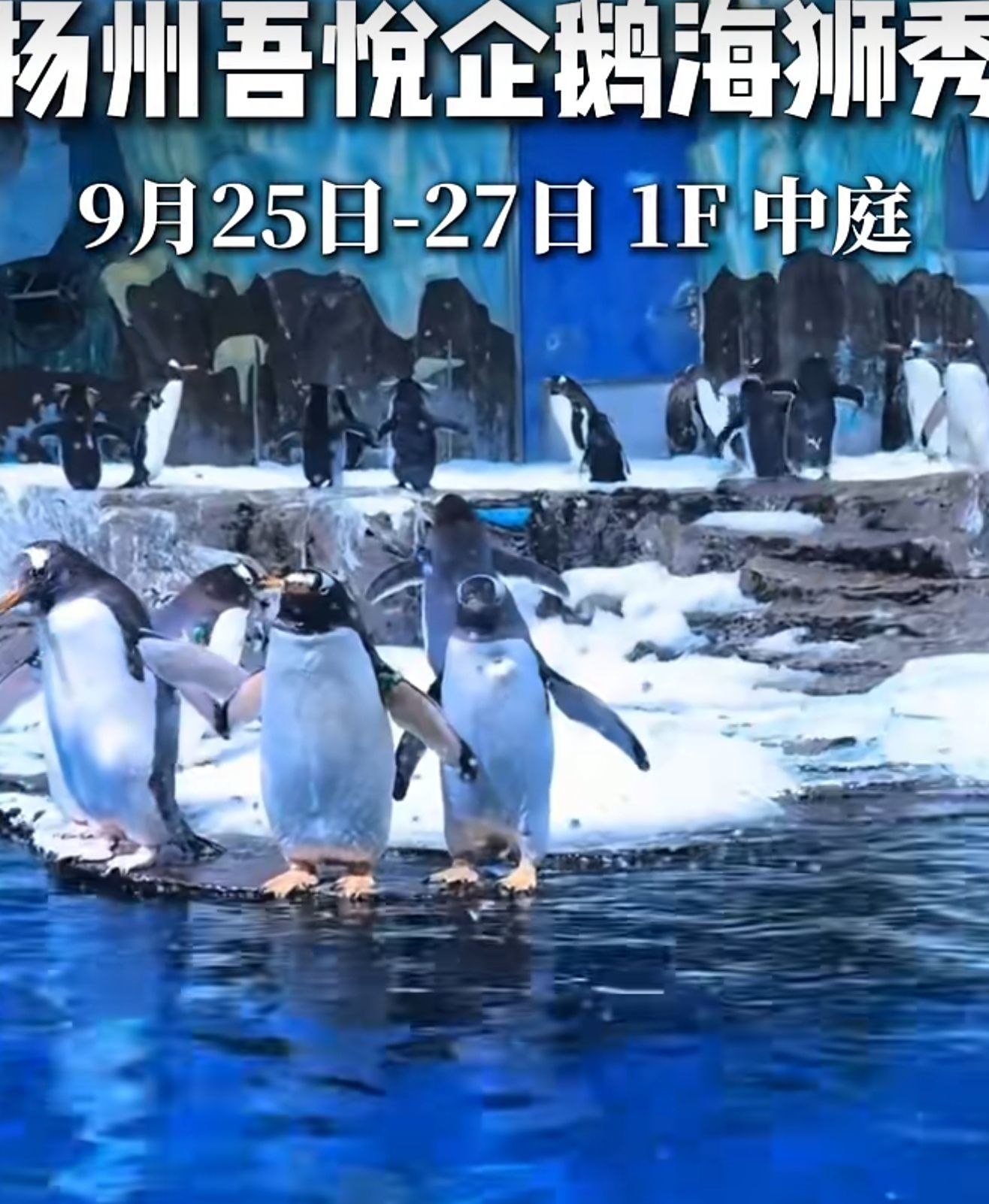 △宣传视频截图。