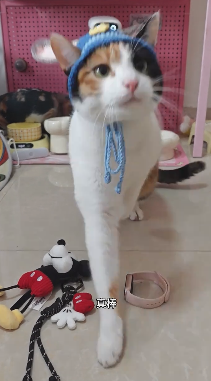 “真棒”的鼓励始终不缺席