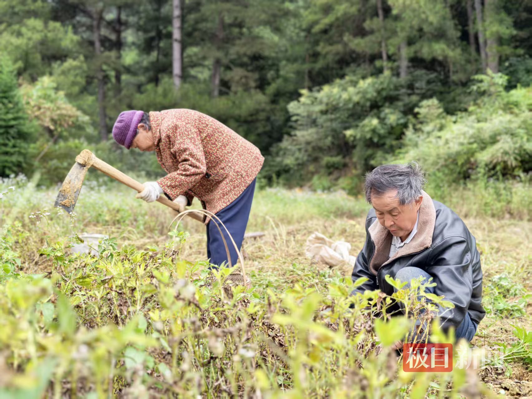 贺永辉的爸爸和奶奶 极目新闻记者摄.jpg
