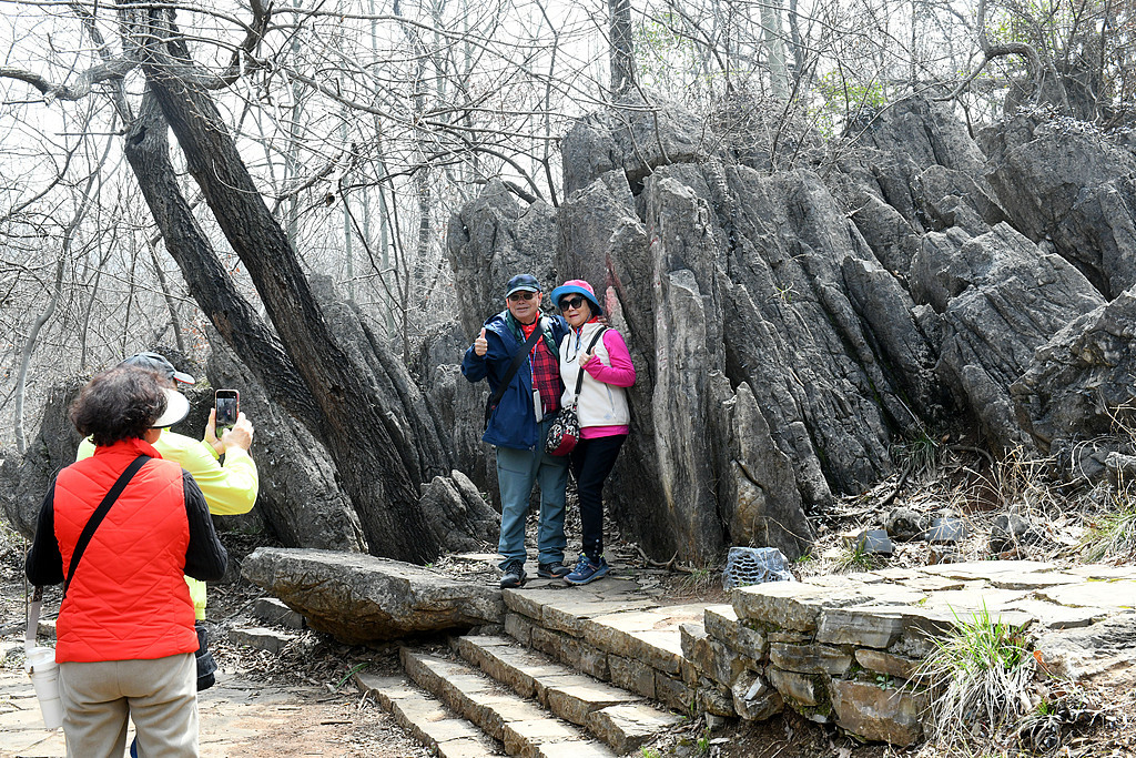 今年3月，台湾游客在安徽淮南八公山风景区游览石林地质景观。（视觉中国）