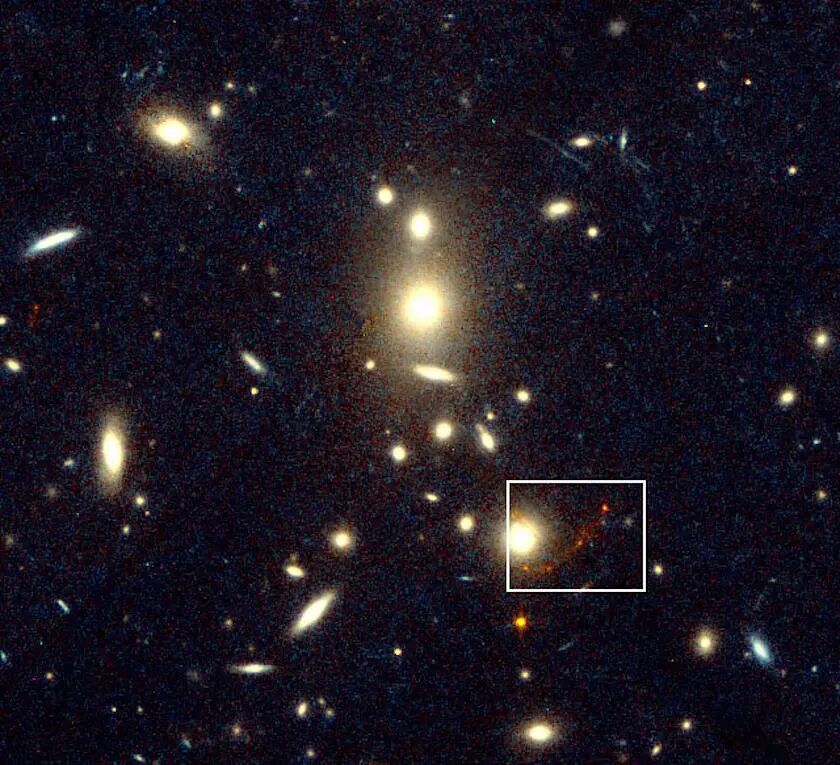 CL135862