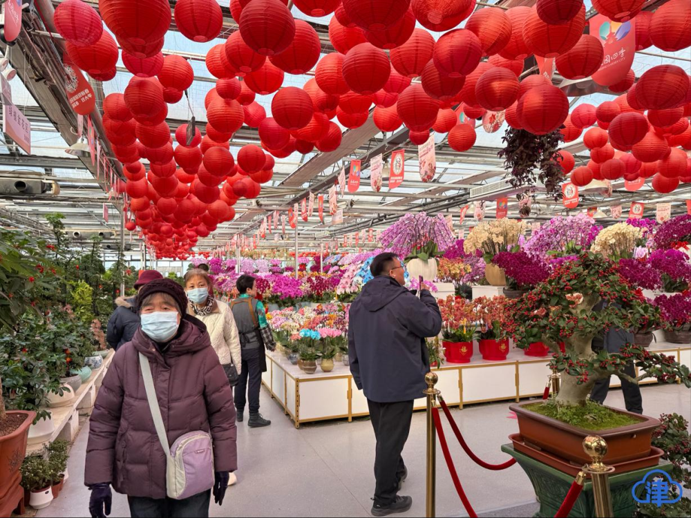 北京花卉交易中心