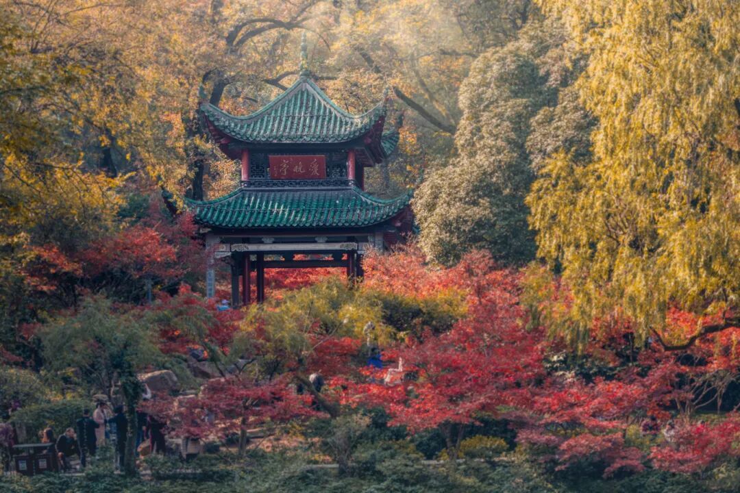 摄图网_501574551_长沙岳麓山爱晚亭秋景(企业商用).jpg