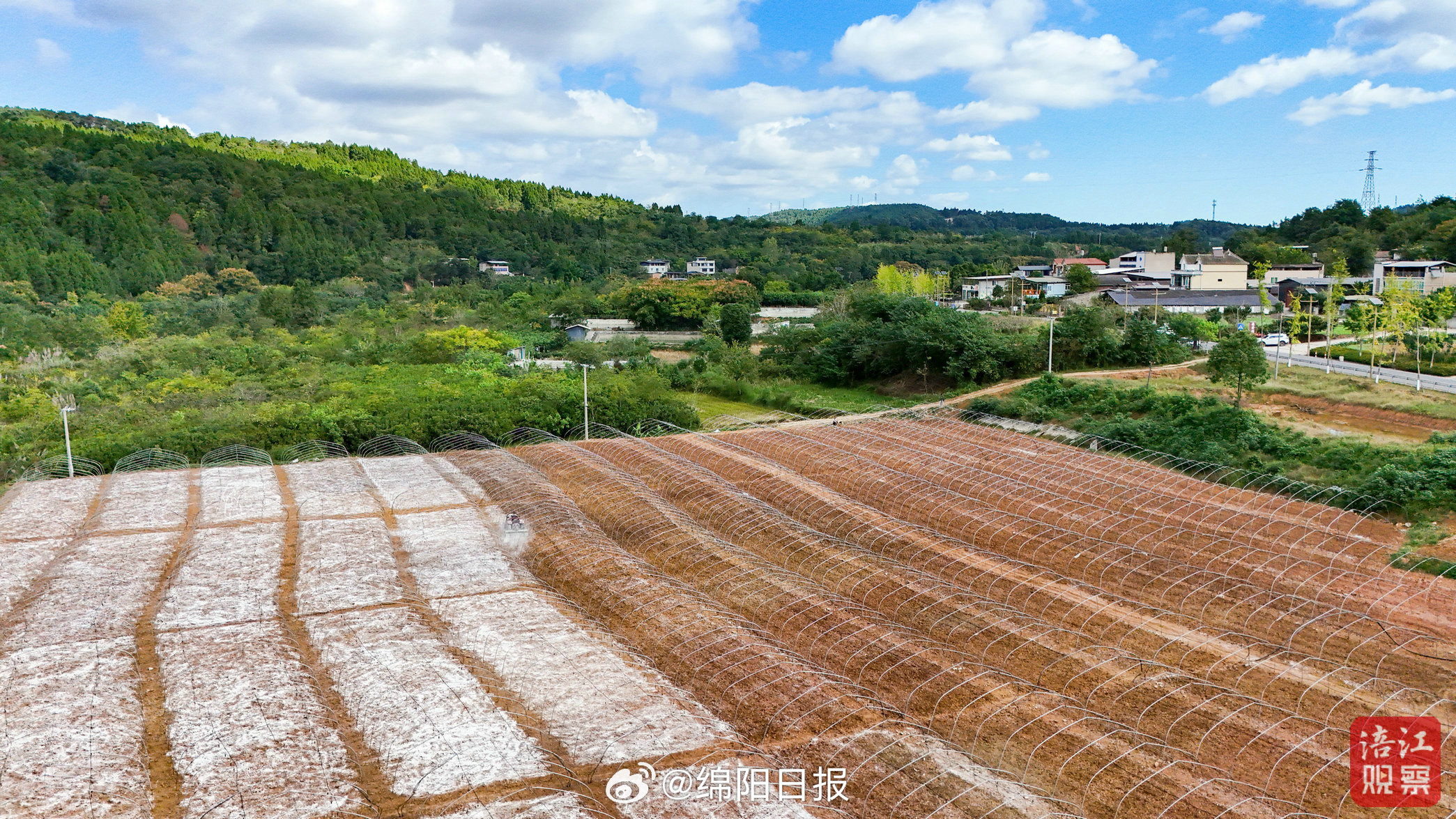 【爱看绵阳｜秋耕沃野，溪映田园】秋光正好，天高云淡。风过处，尽是清朗