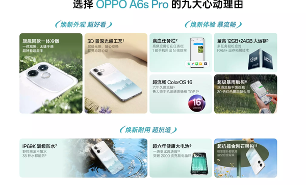 OPPO A6s Pro