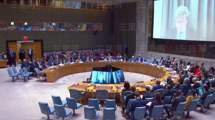 杰弗里&middot;萨克斯1月5日在联合国安理会会议上发言。