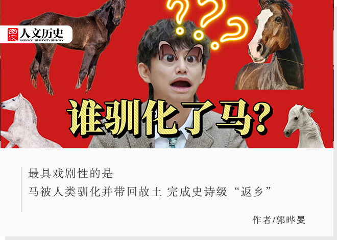 马想问:世界上最早想到驯化马的人,到底是谁?