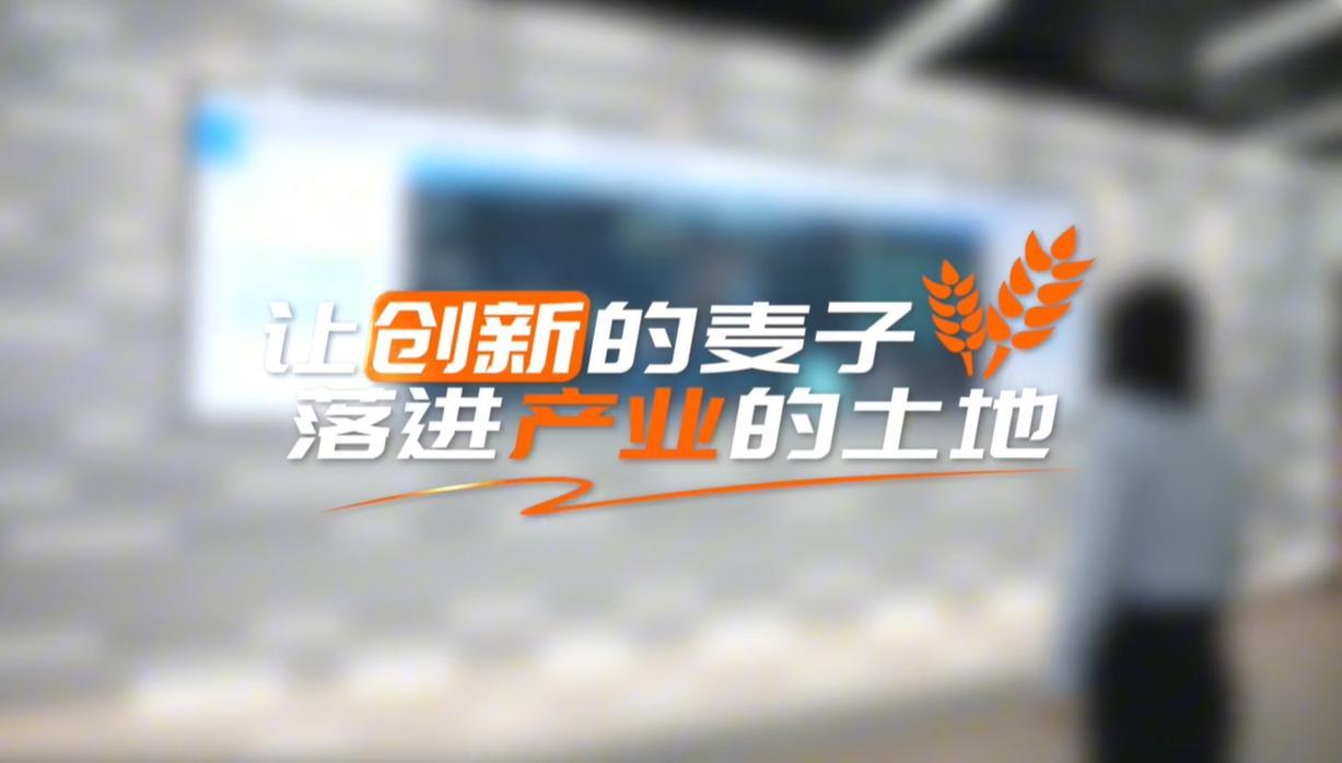 【理响中国·领航未来】让创新的麦子,落进产业的土地