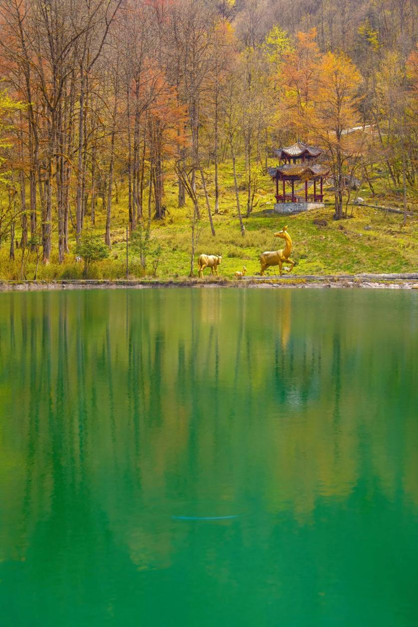 https://x0.ifengimg.com/res/2026/4AD0330EA796FE39F6A24243E91D906835C6E3F6_size170_w838_h1257.jpg