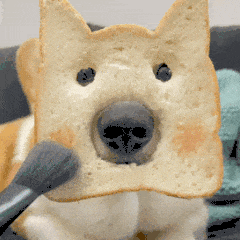 1FA805D2.gif